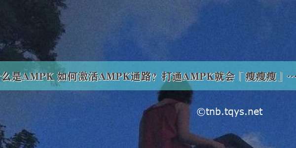 什么是AMPK 如何激活AMPK通路？打通AMPK就会「瘦瘦瘦」……