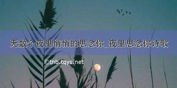 无数个夜里悄悄的思念你_夜里思念你诗歌