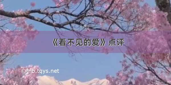 《看不见的爱》点评