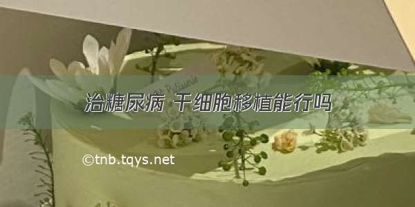 治糖尿病 干细胞移植能行吗