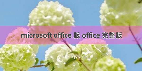 microsoft office 版 office 完整版