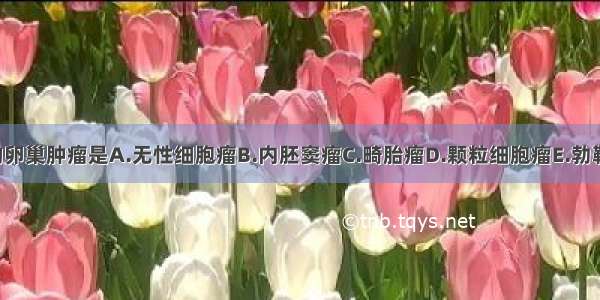 好发于儿童的卵巢肿瘤是A.无性细胞瘤B.内胚窦瘤C.畸胎瘤D.颗粒细胞瘤E.勃勒纳瘤ABCDE