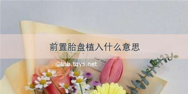 前置胎盘植入什么意思