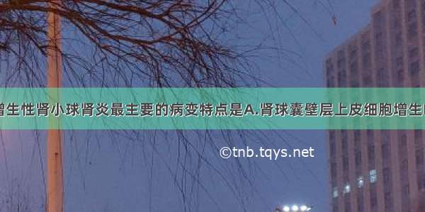 急性弥漫性增生性肾小球肾炎最主要的病变特点是A.肾球囊壁层上皮细胞增生B.肾小球毛细