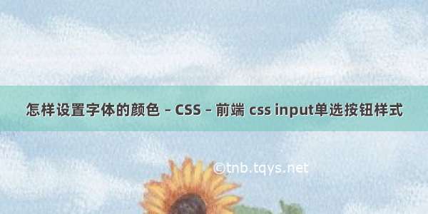 怎样设置字体的颜色 – CSS – 前端 css input单选按钮样式