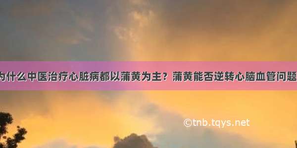 为什么中医治疗心脏病都以蒲黄为主？蒲黄能否逆转心脑血管问题？