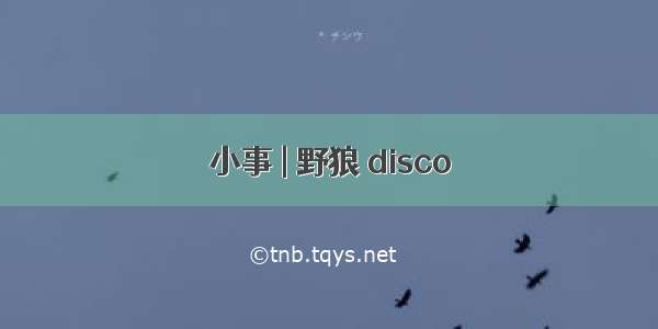 小事 | 野狼 disco