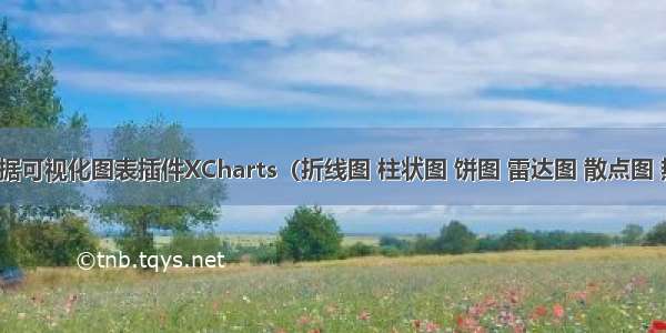 Unity数据可视化图表插件XCharts（折线图 柱状图 饼图 雷达图 散点图 热力图 热