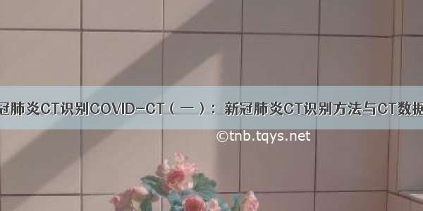 新冠肺炎CT识别COVID-CT（一）：新冠肺炎CT识别方法与CT数据集