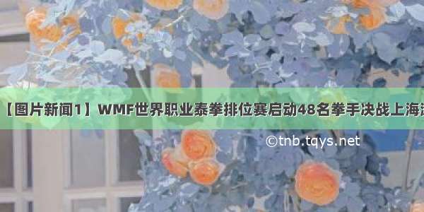 【图片新闻1】WMF世界职业泰拳排位赛启动48名拳手决战上海滩