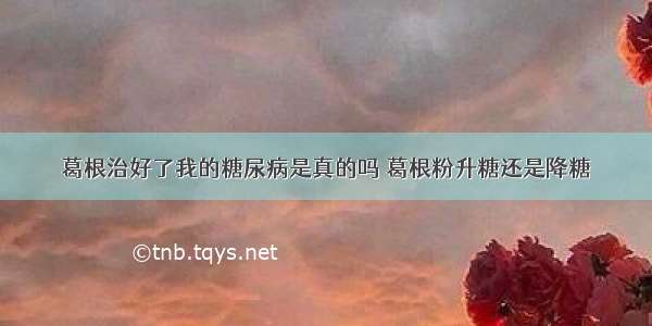 葛根治好了我的糖尿病是真的吗 葛根粉升糖还是降糖