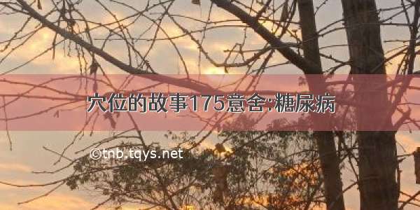 穴位的故事175意舍:糖尿病