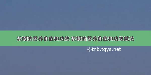 泥鳅的营养价值和功效 泥鳅的营养价值和功效做法