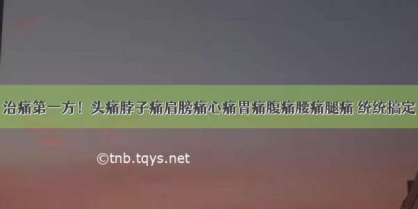 治痛第一方！头痛脖子痛肩膀痛心痛胃痛腹痛腰痛腿痛 统统搞定