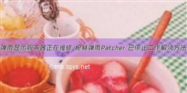 枪林弹雨显示服务器正在维修 枪林弹雨Patcher 已停止工作解决方法教程