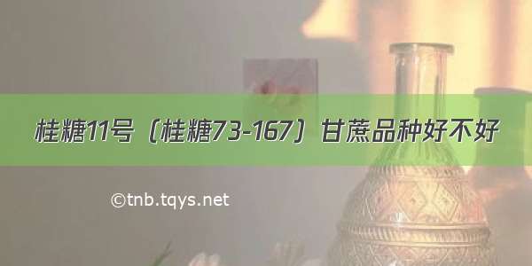 桂糖11号（桂糖73-167）甘蔗品种好不好