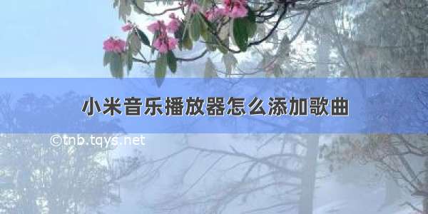 小米音乐播放器怎么添加歌曲