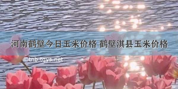 河南鹤壁今日玉米价格 鹤壁淇县玉米价格