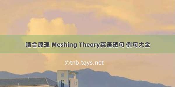 啮合原理 Meshing Theory英语短句 例句大全