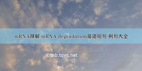 mRNA降解 mRNA degradation英语短句 例句大全