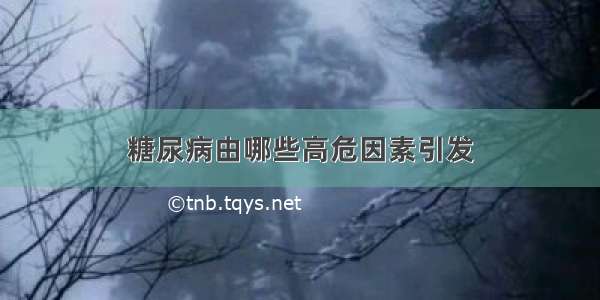 糖尿病由哪些高危因素引发