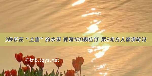 3种长在“土里”的水果 我赌100颗山竹 第2北方人都没听过