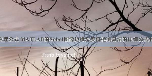 matlab 灰度化原理公式 MATLAB的Sobel图像边缘灰度值检测算法的详细公式和实现资料概述...