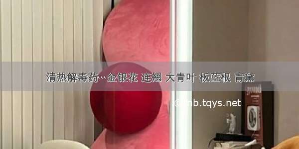 清热解毒药…金银花 连翘 大青叶 板蓝根 青黛