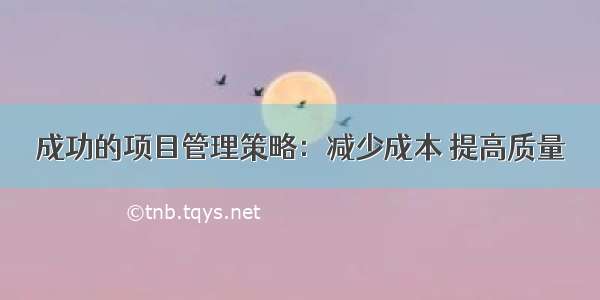 成功的项目管理策略：减少成本 提高质量