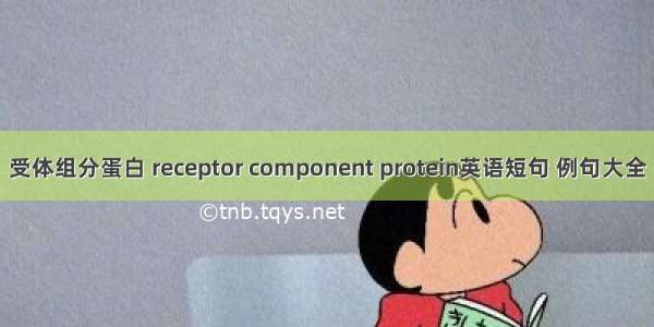 受体组分蛋白 receptor component protein英语短句 例句大全