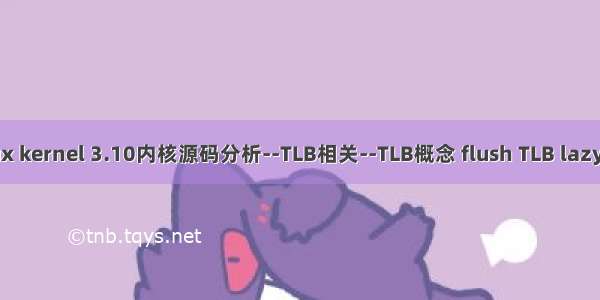 Linux kernel 3.10内核源码分析--TLB相关--TLB概念 flush TLB lazy模式