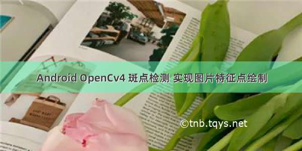 Android OpenCv4 斑点检测 实现图片特征点绘制