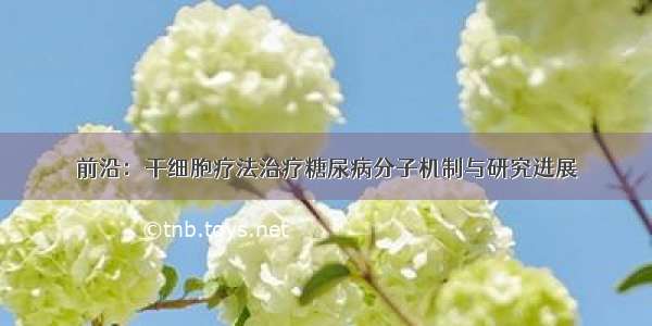 前沿：干细胞疗法治疗糖尿病分子机制与研究进展