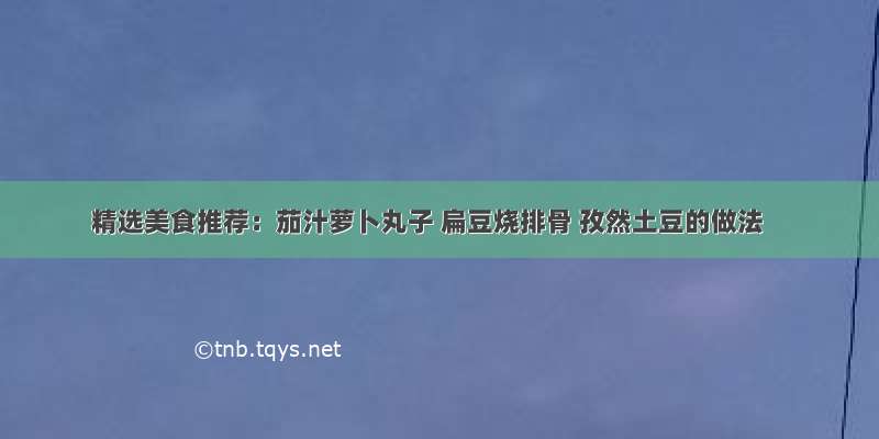 精选美食推荐：茄汁萝卜丸子 扁豆烧排骨 孜然土豆的做法