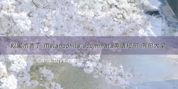 松黑木吉丁 Melanophila acuminata英语短句 例句大全