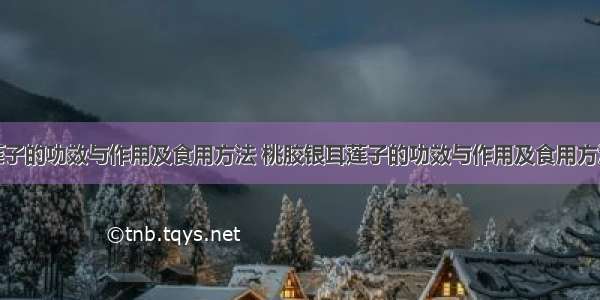 莲子的功效与作用及食用方法 桃胶银耳莲子的功效与作用及食用方法