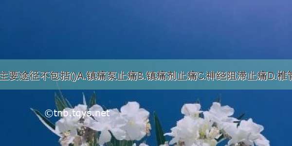 术后止痛的主要途径不包括()A.镇痛泵止痛B.镇痛剂止痛C.神经阻滞止痛D.椎管内给药E.吸