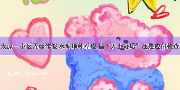 太原一小区弄虚作假 水泥地种草皮 搞“无土栽培”还是应付检查