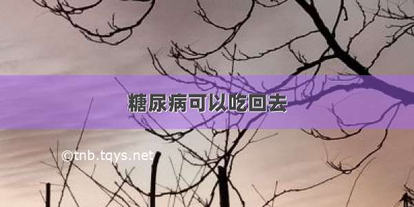 糖尿病可以吃回去