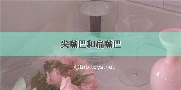 尖嘴巴和扁嘴巴