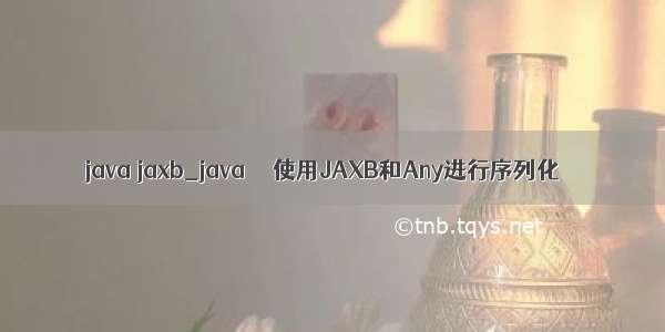 java jaxb_java  – 使用JAXB和Any进行序列化