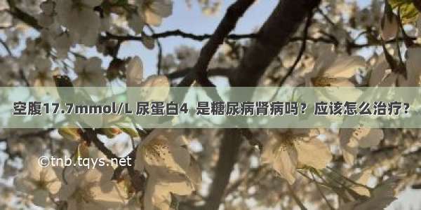 空腹17.7mmol/L 尿蛋白4  是糖尿病肾病吗？应该怎么治疗？