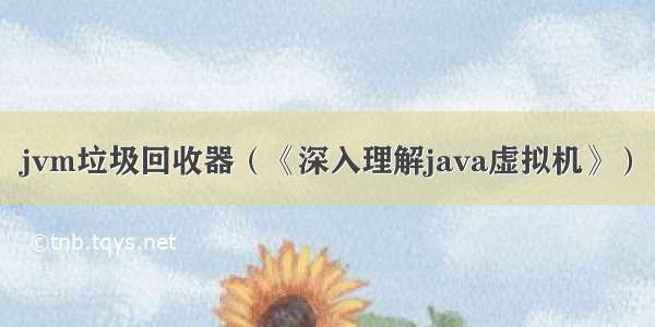 jvm垃圾回收器（《深入理解java虚拟机》）