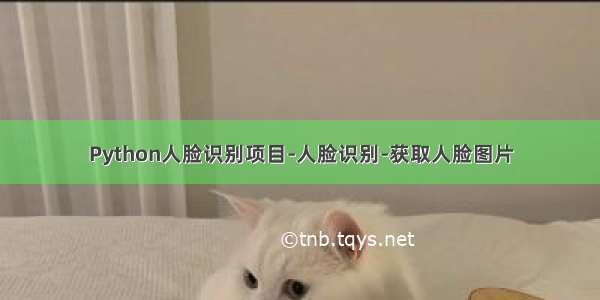 Python人脸识别项目-人脸识别-获取人脸图片