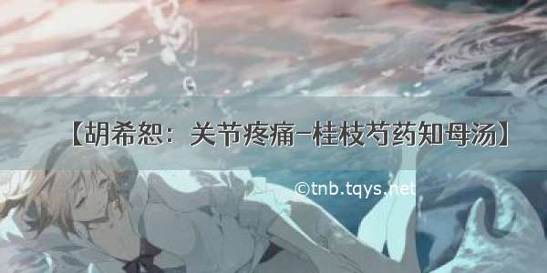 【胡希恕：关节疼痛-桂枝芍药知母汤】