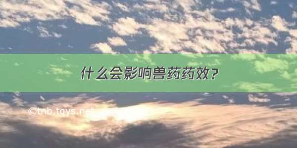 什么会影响兽药药效？