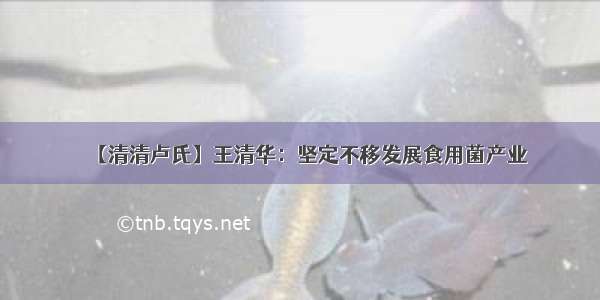 【清清卢氏】王清华：坚定不移发展食用菌产业