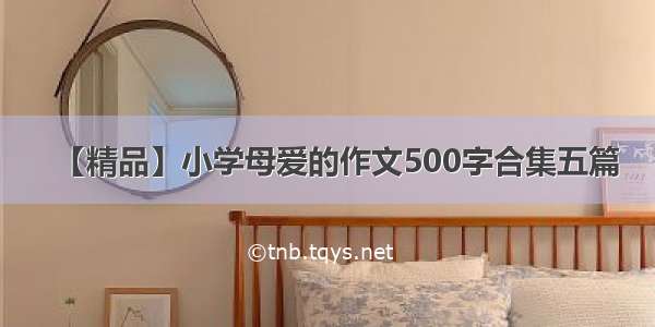 【精品】小学母爱的作文500字合集五篇