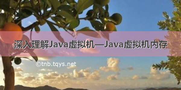 深入理解Java虚拟机—Java虚拟机内存