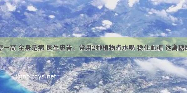 血糖一高 全身是病 医生忠告：常用2种植物煮水喝 稳住血糖 远离糖尿病